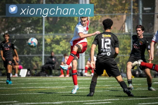 爱游戏体育app官网入口APP 封面图